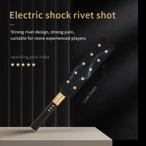 BDSM，BDSM Toys，BDSM Sex Toys，ZW-026 Electric shock rivet shot (1)