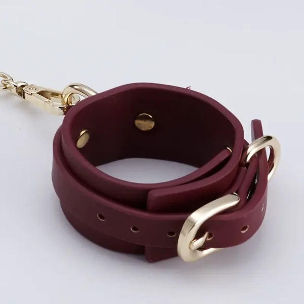 BDSM，BDSM Toys，BDSM Sex Toys，ZW-092 Bracelet (4)