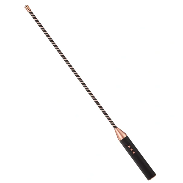 BDSM，BDSM Toys，BDSM Sex Toys，ZW-112 Electric shock training rod (4)