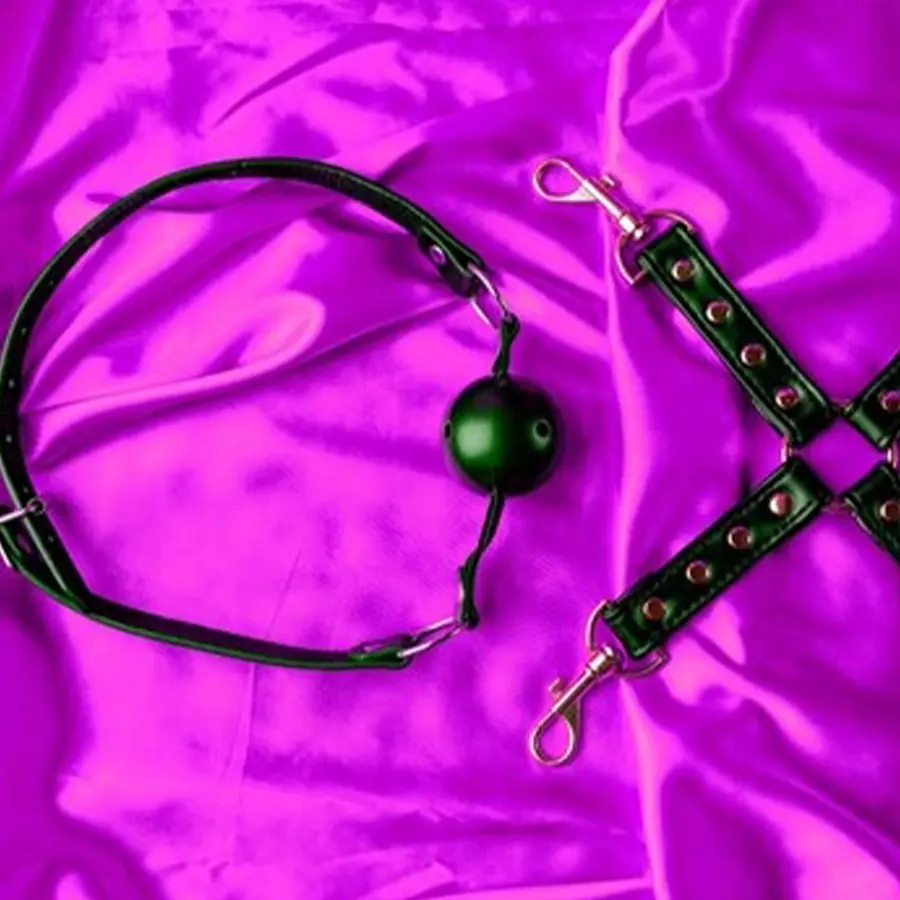 Ball Gag，Bondage Gag，BDSM Ball Gag (3)