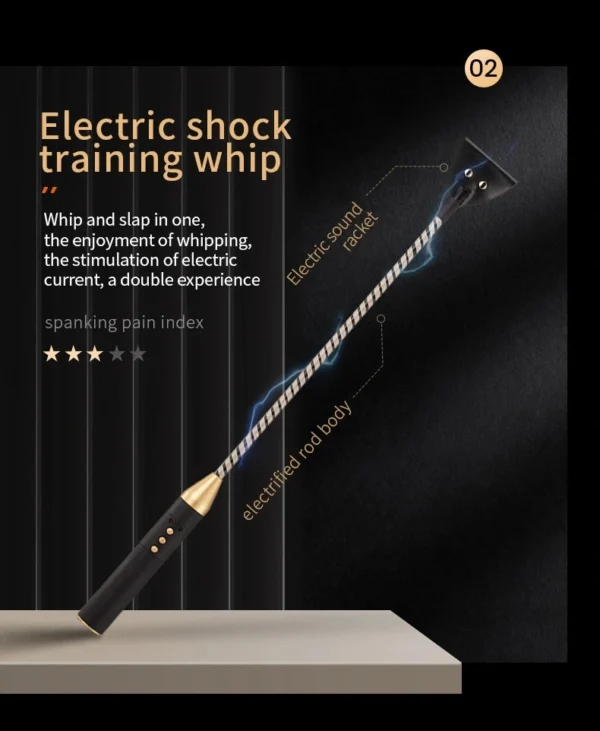 Bondage Whip，BDSM Whip，Sex Whip，ZW-019 Electric shock training whip (1)