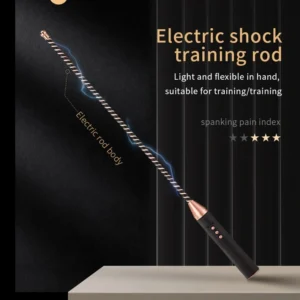 Bondage Whip，BDSM Whip，Sex Whip，ZW-112 Electric shock training rod (1)