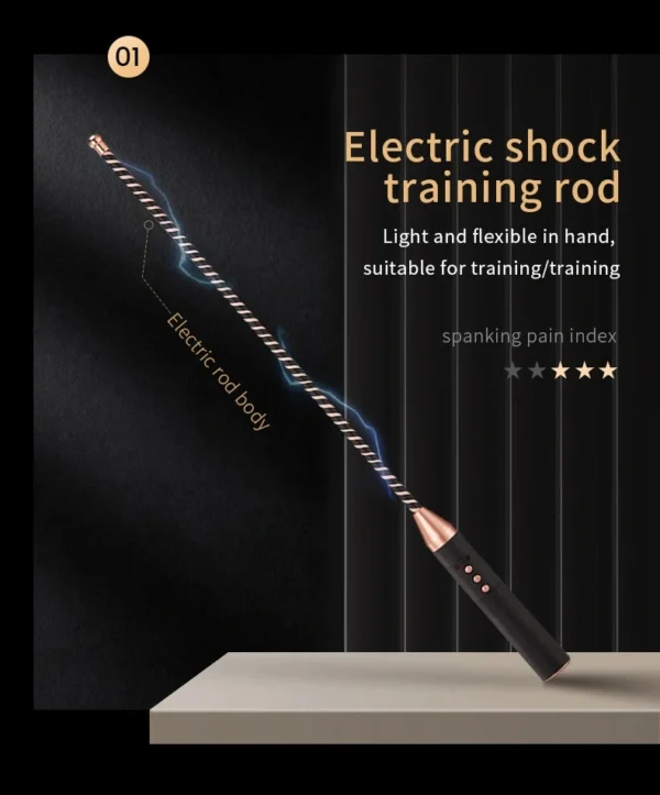 Bondage Whip，BDSM Whip，Sex Whip，ZW-112 Electric shock training rod (1)