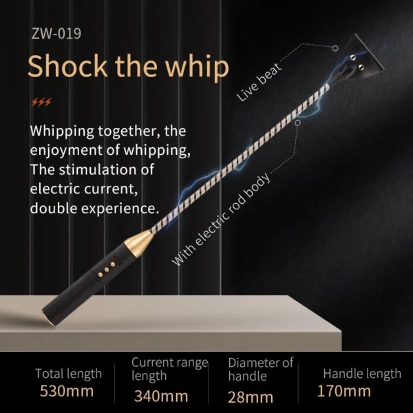 Electro Stimulation BDSM，BDSM Electric Shock，Sex Electric Shock，ZW-019 Electric shock training whip (2)