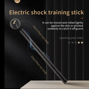 Electro Stimulation BDSM，BDSM Electric Shock，Sex Electric Shock，ZW-026 Electric shock training stick (1)