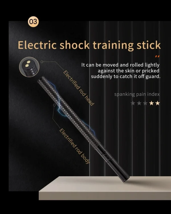 Electro Stimulation BDSM，BDSM Electric Shock，Sex Electric Shock，ZW-026 Electric shock training stick (1)