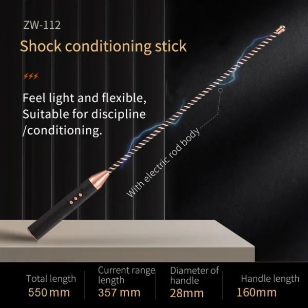 Electro Stimulation BDSM，BDSM Electric Shock，Sex Electric Shock，ZW-112 Electric shock training rod (2)