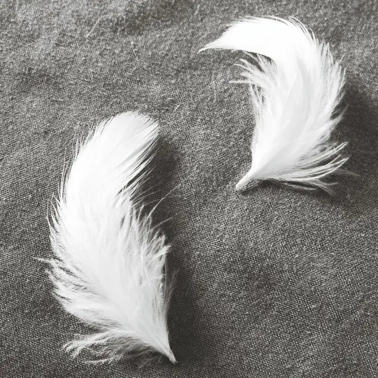 Flirting Tools，Flirting Feathers