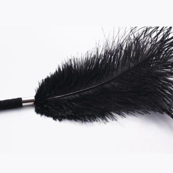 Flirting Tools，QS-019 Tease feathers (6)