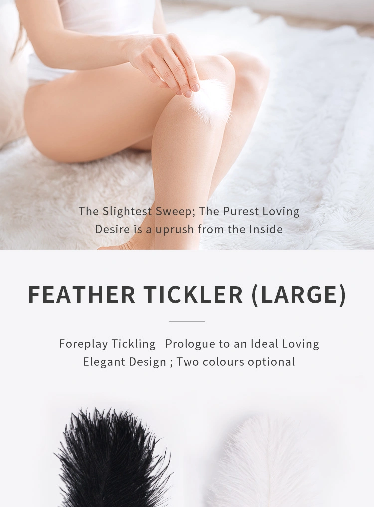 Flirting Tools，QS-019 Tease feathers describe (1)