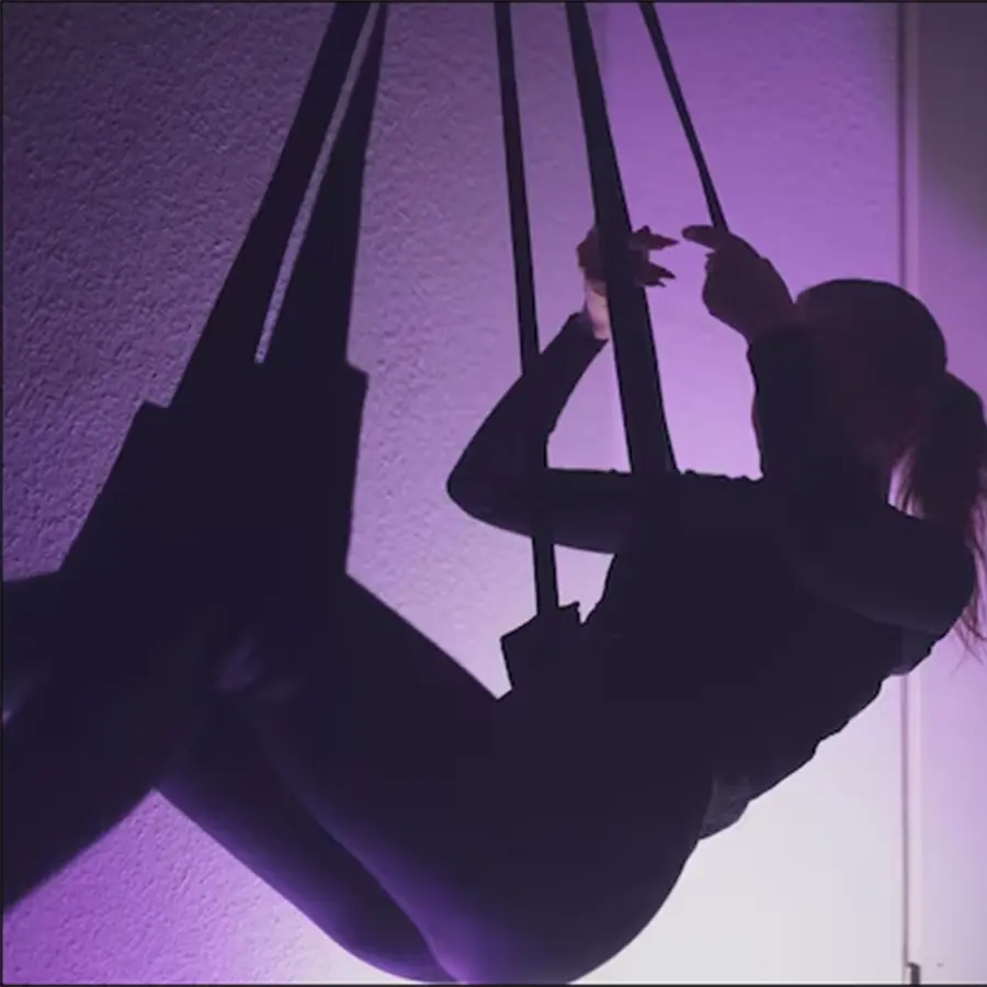 Sex Swing，BDSM Swing (6)